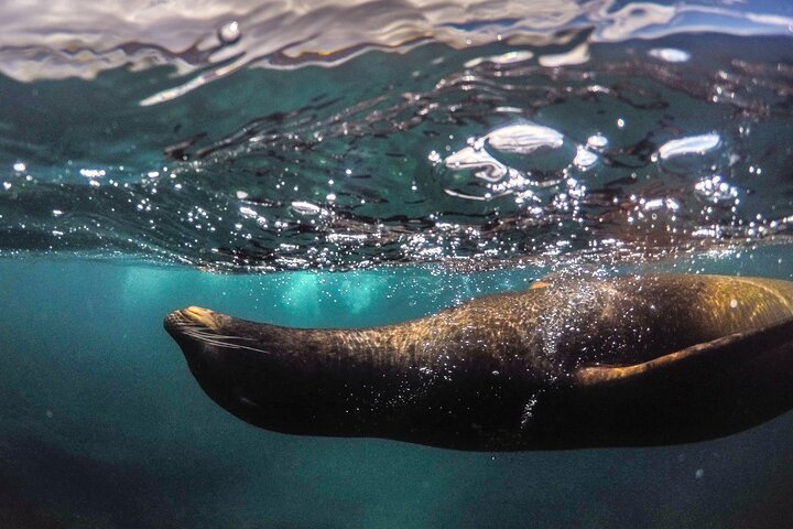 Full-Day Pinzon Island Snorkeling and Fishing  - Photo 1 of 7